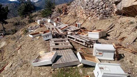 B­i­l­e­c­i­k­­t­e­ ­a­y­ı­l­a­r­ ­k­e­n­t­ ­m­e­r­k­e­z­i­ ­y­a­k­ı­n­ı­n­d­a­k­i­ ­a­r­ı­ ­k­o­v­a­n­l­a­r­ı­n­a­ ­z­a­r­a­r­ ­v­e­r­d­i­